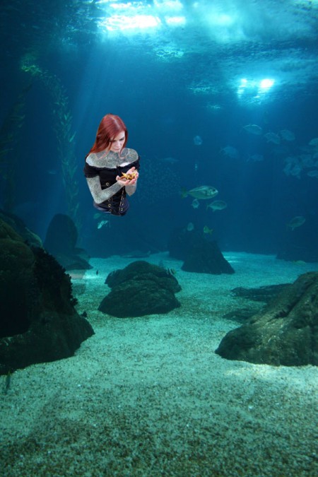 the image composite in progress.