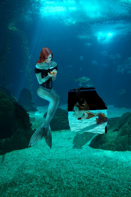 the image composite in progress.