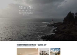 a screenshot of the OShaunaire website designed by david johnson.
