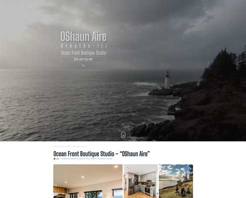 a screenshot of the OShaunaire website designed by david johnson.